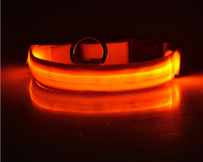 Doggo LED collar