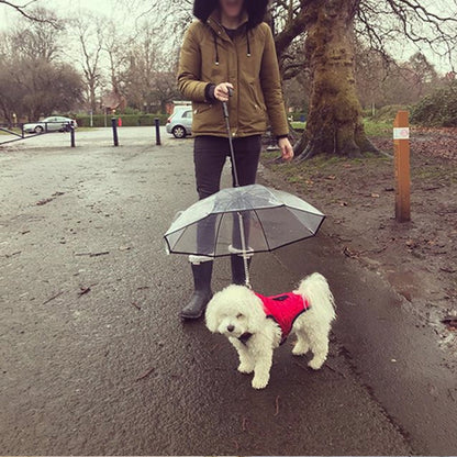 The BarkBrella