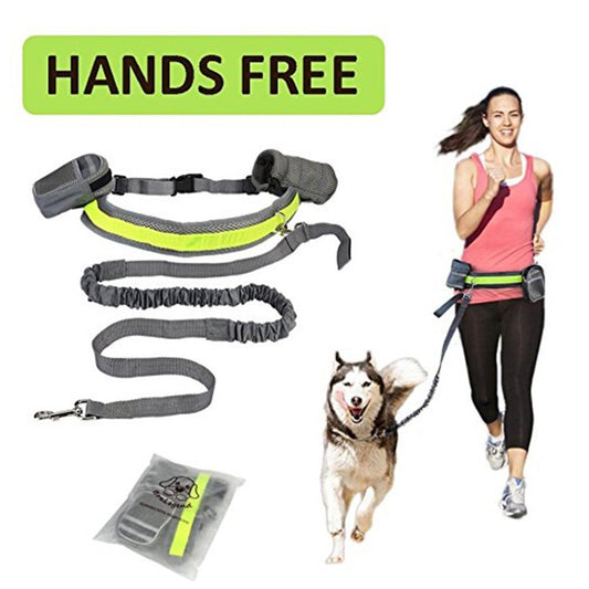 Doggo Hands-Free Leash