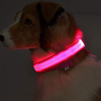 Doggo LED collar