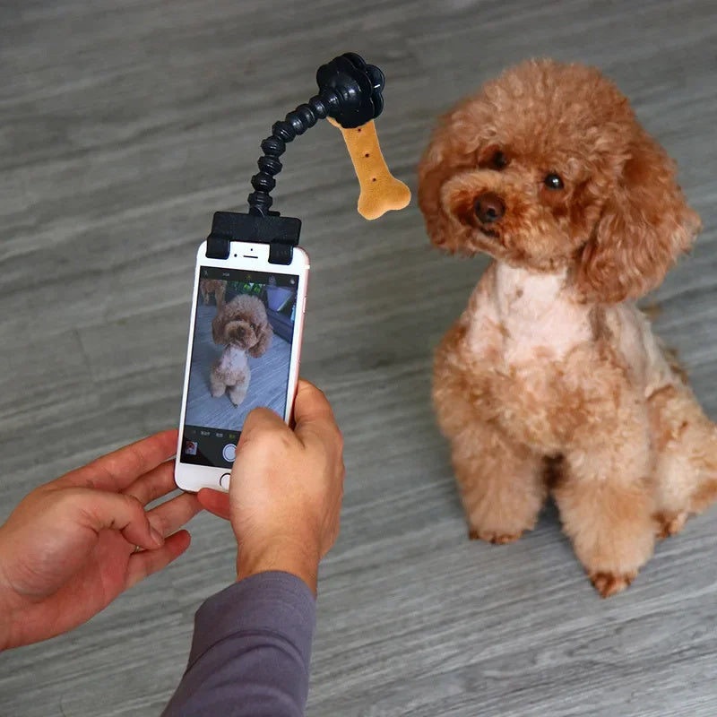 Doggo Selfie Stick